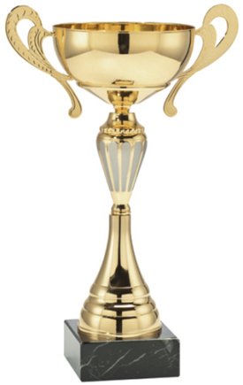 Кубок золото Высота - 28 см