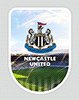 Наклейка 3D универсальная (малая) Newcastle United F.C. Ньюкасл Юнайтед