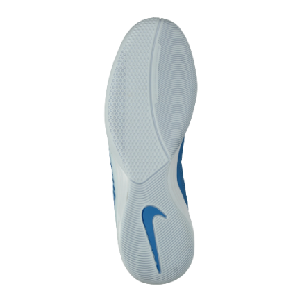 Взуття для залу Nike Lunar Gato II IC 580456-400