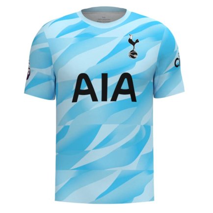 Новая Вратарская футбольная форма Тоттенхэм Льорис 1 (Tottenham Lloris 1) 2023-2024 игровая/повседневная 14220311 цвет: голубой