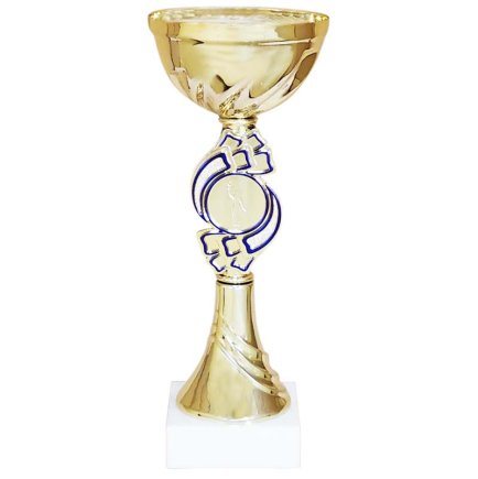 Кубок Висота - 20 см Кубок Висота - 20 см