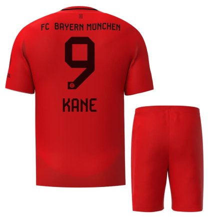 Новая Футбольная форма Бавария Кейн 9 (Bayern Munich Kane 9) 2024-2025 игровая/повседневная 15237002 цвет: красный
