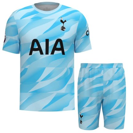Новая Вратарская футбольная форма Tottenham (Тоттенхэм) 2023-2024 игровая/повседневная 14220111 цвет: голубой