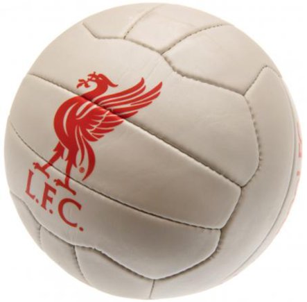 Мяч сувенирный Ливерпуль