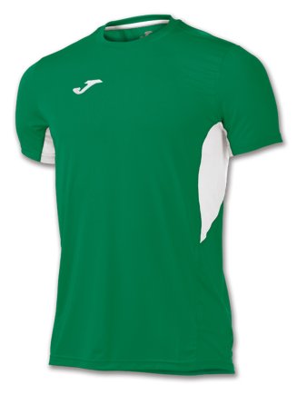 Футболка игровая Joma Record 100283.450 цвет: зеленый/белый