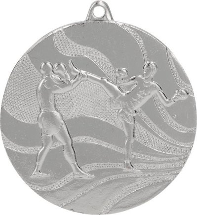Медаль 50 мм Єдиноборства срібло