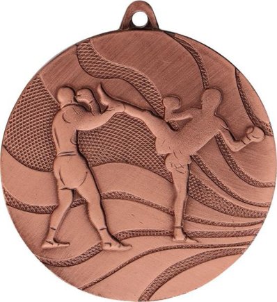 Медаль 50 мм Единоборства бронза
