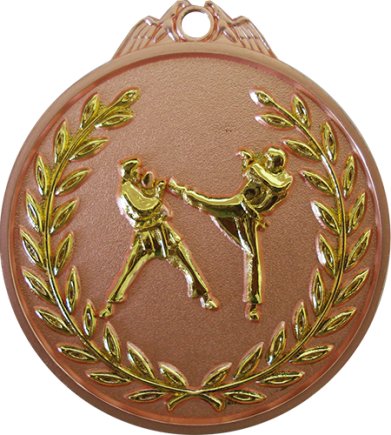 Медаль 65 мм Єдиноборства бронза
