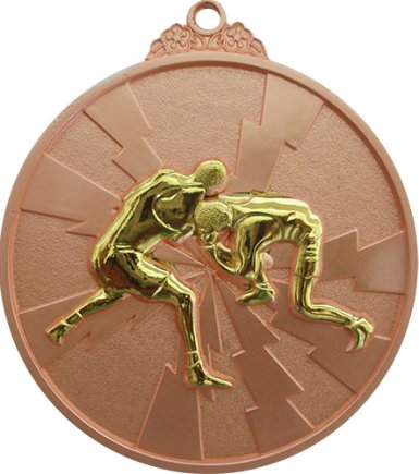 Медаль 65 мм Боротьба бронза