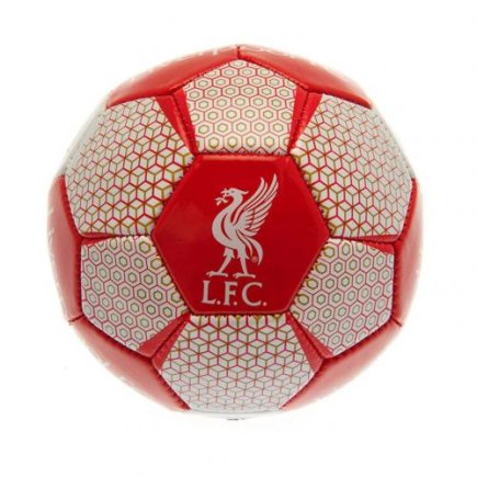 М'яч сувенірний Ліверпуль F.C. Liverpool Skill Ball VT