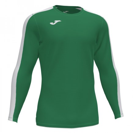 Футболка Joma Academy III 101658.452 цвет: зеленый/белый