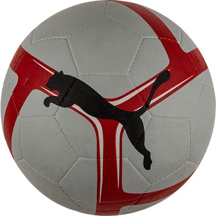 Мяч футбольный Puma 365 R Ball 08325801 размер 5