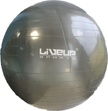 Фитбол LiveUp YOGA BALL (65 см) LS3578 цвет: серый