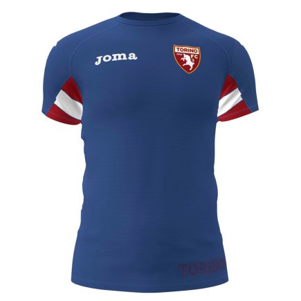 Футбольная форма Joma Torino (Торино) TRN201012.19 цвет: синий