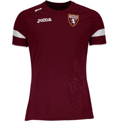 Футбольна форма Joma Torino (Торіно) TRN201011.20 колір: бордовий