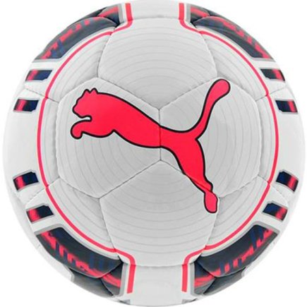 Мяч для футзала Puma Evo Power Futsal 082235-15 размер 4