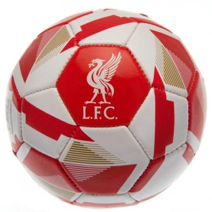 М'яч сувенірний Ліверпуль Liverpool F.C. розмір 1
