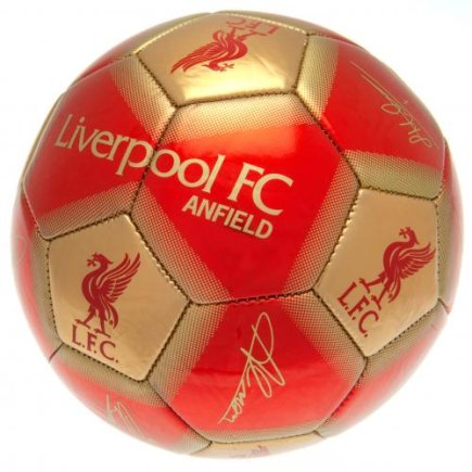 М'яч сувенірний Ліверпуль Liverpool FC Signature розмір 5