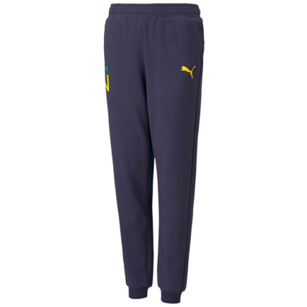 Штаны спортивные Puma Neymar NJR Hero Sweat Junior 605547 06