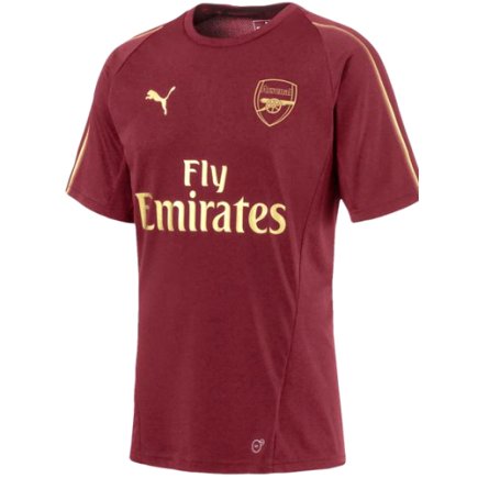 Футболка спортивная Puma Arsenal FC Training Tee M 753265 03 Футболка спортивная Puma Arsenal FC Training Tee M 753265 03