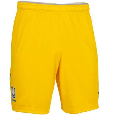 Шорты Joma сборной Украины Euro 2021 AT102024A907 цвет: желтый