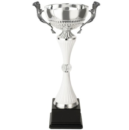 Кубок Висота - 36 см