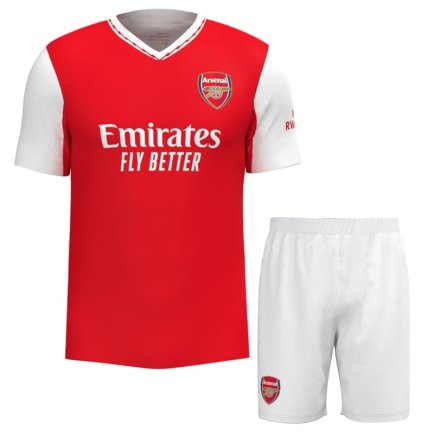 Футбольная форма Arsenal (Арсенал, Лондон) 2022-2023 игровая/повседневная 10221602 цвет: красный