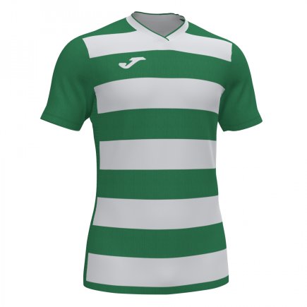 Футболка Joma Europa IV 101466.452 колір: зелений/білий