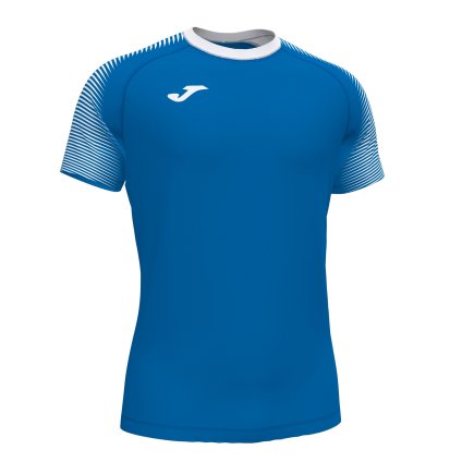 Футболка игровая Joma PERFORMANCE HANDBALL 101899.702 цвет: голубой