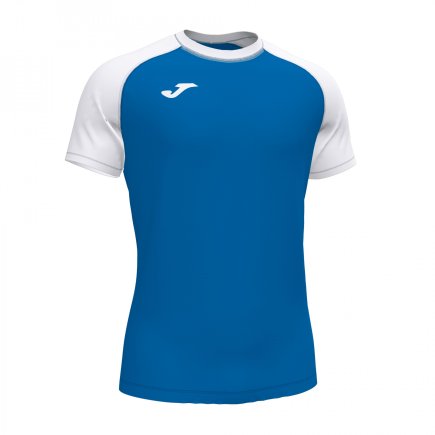 Футболка ігрова Joma ACADEMY IV 102218.702 колір: блакитний/білий