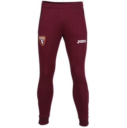 Спортивные штаны Joma Torino (Торино) TRN310011B20 цвет: бородовый
