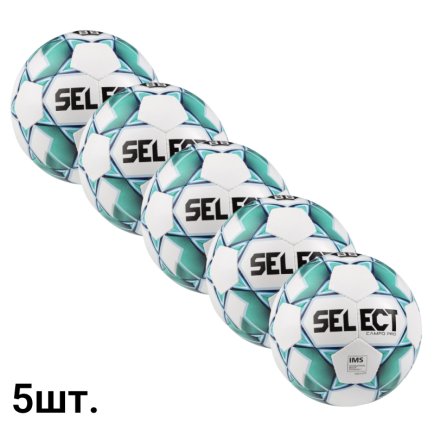 Футбольные мячи оптом Select Campo Pro IMS (015) размер 3 5 штук