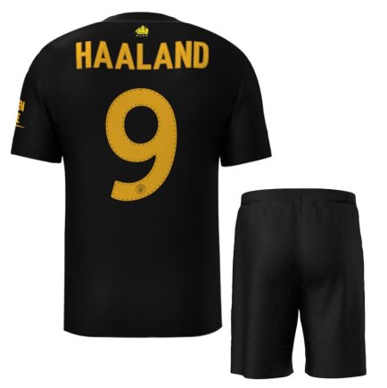 Футбольная форма Манчестер Сити Холанд 9 (Manchester City Haaland 9) 2022-2023 игровая/повседневная 11222902 цвет: красный
