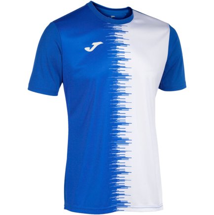 Футболка игровая Joma PERFORMANCE CORTA CITY II 103240.702 цвет: голубой/белый
