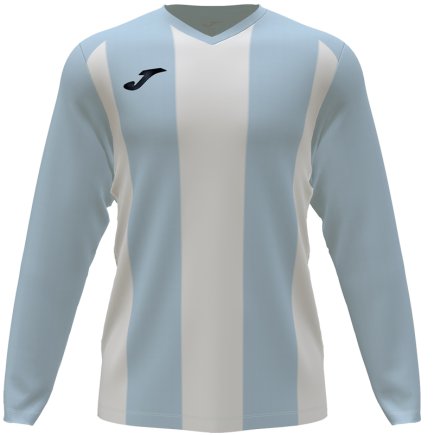 Футболка Joma PERFORMANCE PISA II 102521.352 колір: блакитний/білий