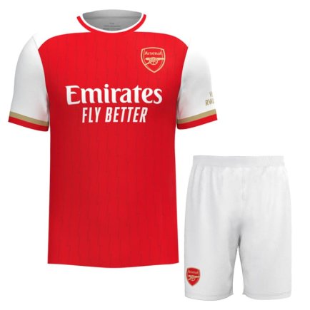 Новая Футбольная форма Arsenal (Арсенал, Лондон) 2023-2024 игровая/повседневная 11224102 цвет: красный