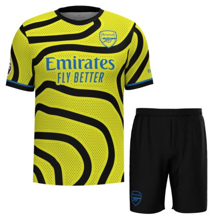 Новая Футбольная форма Arsenal (Арсенал, Лондон) 2023-2024 игровая/повседневная 12220403 цвет: желтый