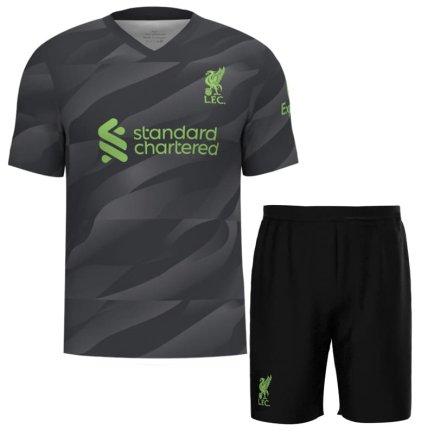 Новая Вратарская футбольная форма Liverpool (Ливерпуль) 2023-2024 игровая/повседневная 14221701 цвет: черный