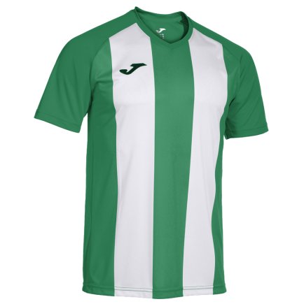 Футболка ігрова Joma INTER IV 103720.452 колір: зелений/білий