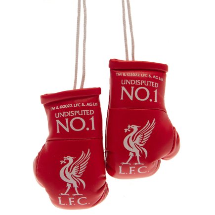 Міні боксерські рукавички Liverpool FC Ливерпуль ФК