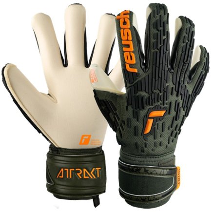 Вратарские перчатки Reusch Attrakt Freegel Gold X 5370935 5556