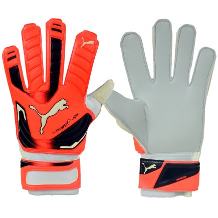 Вратарские перчатки Puma Evo Power Grip 2 Aqua 041145 30