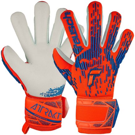 Вратарские перчатки Reusch Attrakt Freegel Silver 5470235 2210
