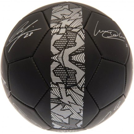 Мяч футбольный Chelsea FC Football Signature PH размер 5