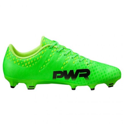 Бутсы Puma Evo Power 3 FG 103956 01