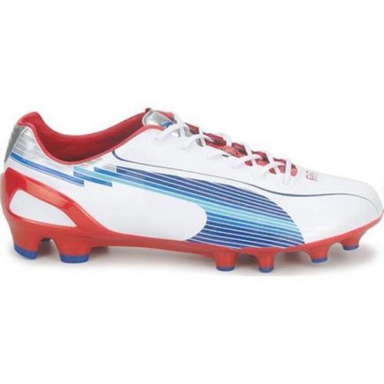 Бутси Puma Evo Speed 1 FG M 102527 01