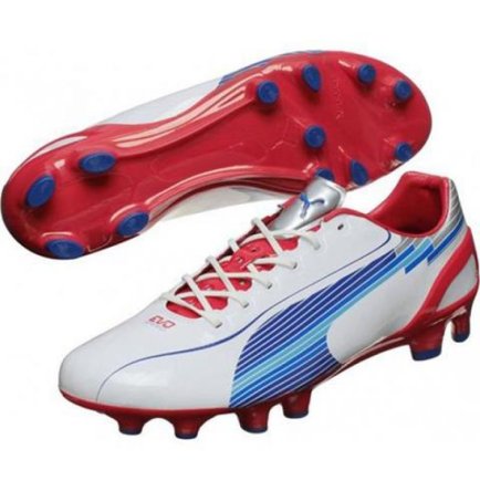 Бутси Puma Evo Speed 1 FG M 102527 01
