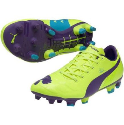 Бутси Puma Evo Power 2 FG M 102945 04