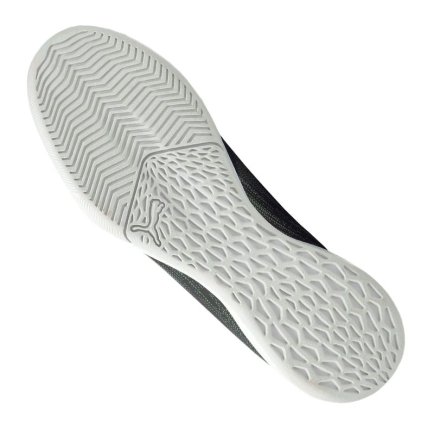 Взуття для залу Puma Ultra 1.2 Pro Court M 106347-02