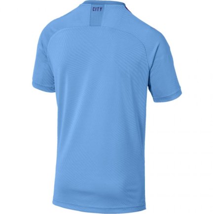Футболка спортивная Puma Manchester City FC Home Replica M SS 755586 01